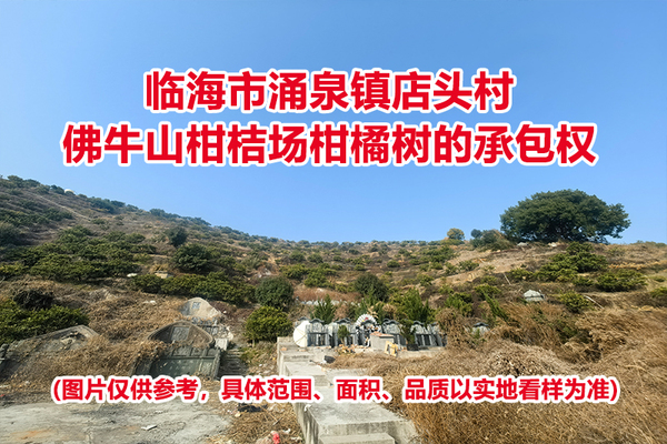 临海市涌泉镇店头村佛牛山柑桔场柑橘树的承包权